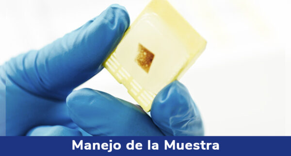 manejo-de-la-muestra-rochem-biocare